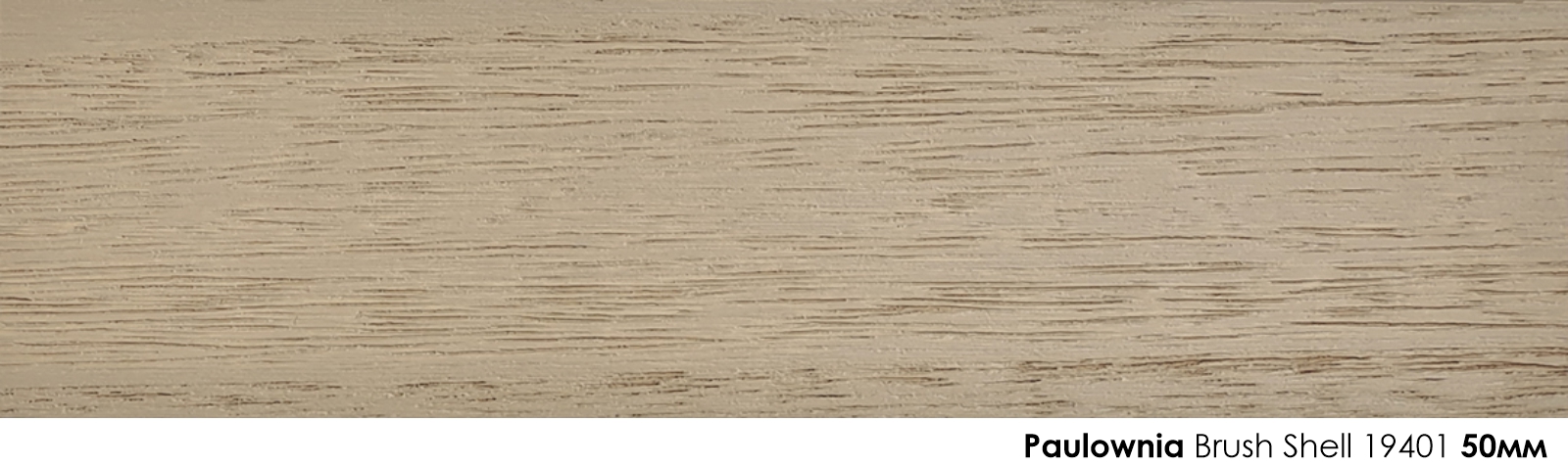50mm Paulownia Brush Shell 19401
