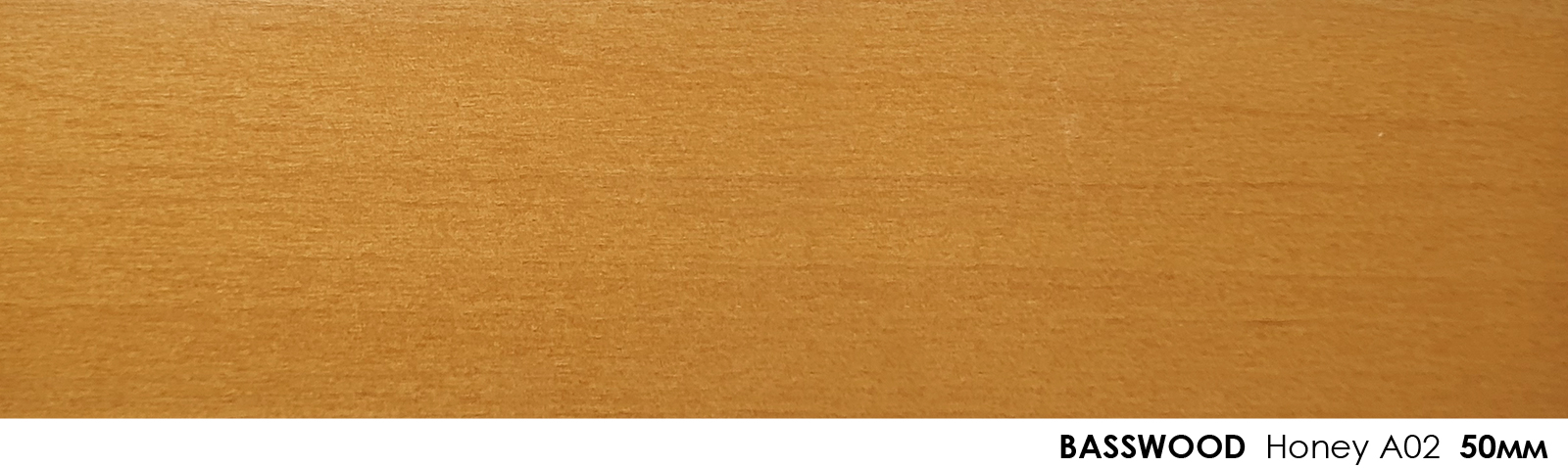 50mm Basswood Honey A02