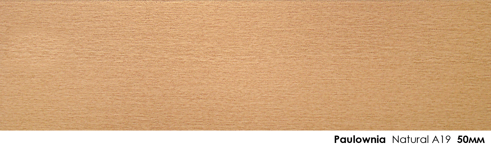 50mm Paulownia Natural A19