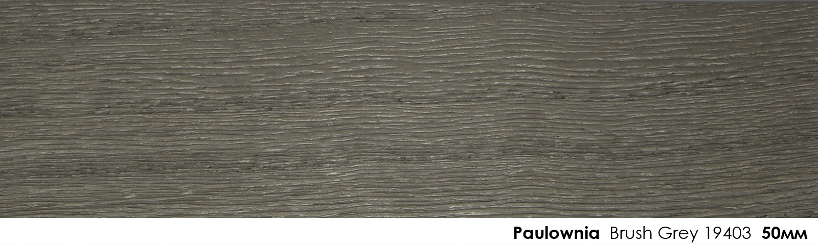 50mm Paulownia Brush Grey 19403