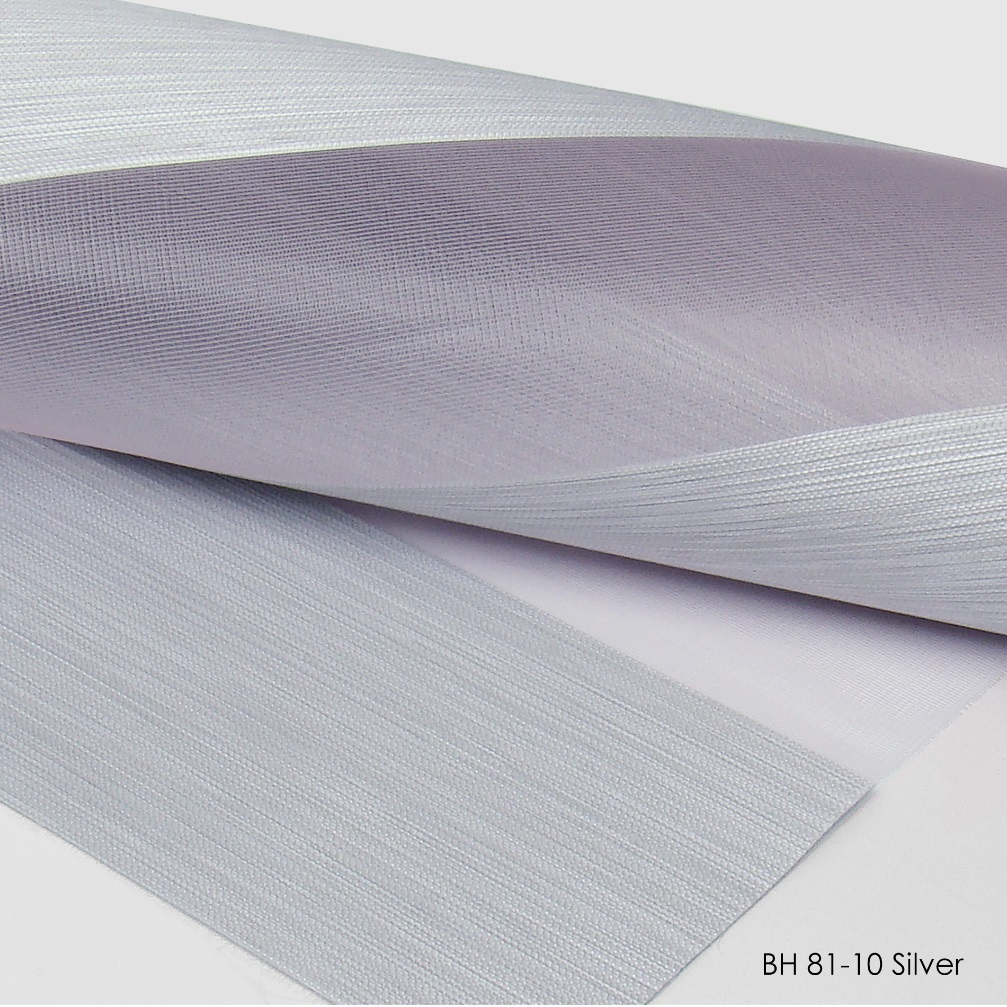 BH 81-10 silver